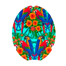 Applique 007
