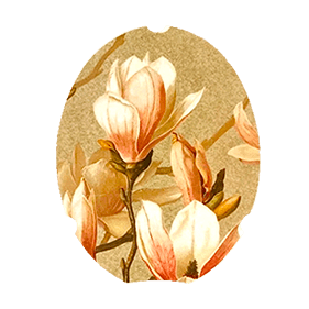 Applique 041
