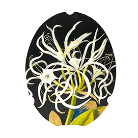 Applique 046