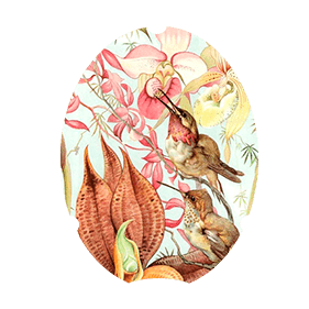 Applique 063