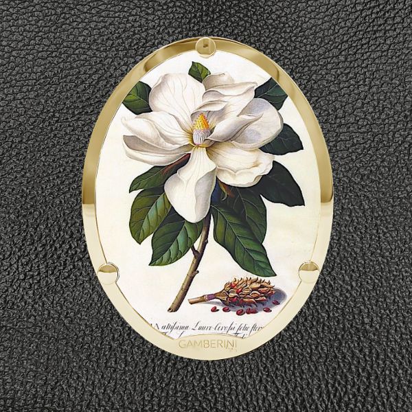 Cameo Print 009 – Magnolia Grandiflora