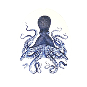 Applique 013